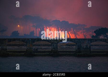 Waldstiftung Chiberta am 2020. Juli, 30. Die Brandstiftung verwüstete 165 Hektar Wald und verbrannte 11 Häuser im Herzen von Anglet. Lauffeuer. Blaze. Stockfoto