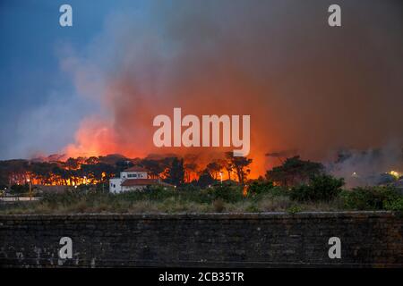 Waldstiftung Chiberta am 2020. Juli, 30. Die Brandstiftung verwüstete 165 Hektar Wald und verbrannte 11 Häuser im Herzen von Anglet. Lauffeuer. Blaze. Stockfoto