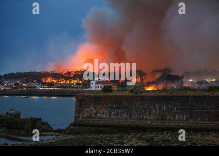 Waldstiftung Chiberta am 2020. Juli, 30. Die Brandstiftung verwüstete 165 Hektar Wald und verbrannte 11 Häuser im Herzen von Anglet. Lauffeuer. Blaze. Stockfoto