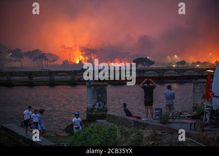 Waldstiftung Chiberta am 2020. Juli, 30. Die Brandstiftung verwüstete 165 Hektar Wald und verbrannte 11 Häuser im Herzen von Anglet. Lauffeuer. Blaze. Stockfoto