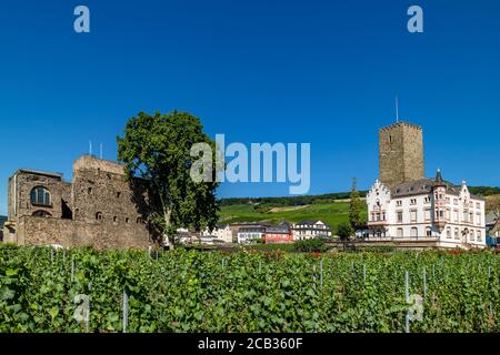 Brömserburg und Boosenburg, zwei Schlösser in Rüdesheim am Rhein, Weinstadt in Hessen, Deutschland Stockfoto