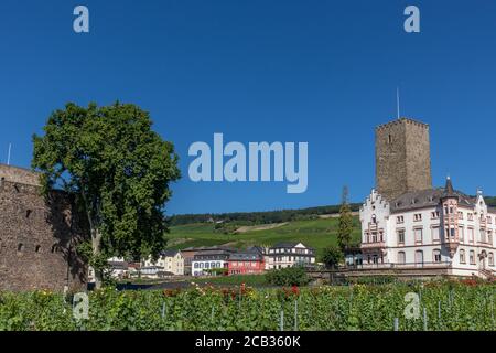 Brömserburg und Boosenburg, zwei Schlösser in Rüdesheim am Rhein, Weinstadt in Hessen, Deutschland Stockfoto