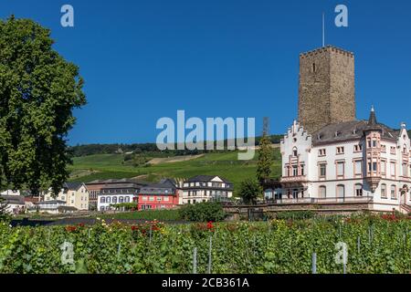 Brömserburg und Boosenburg, zwei Schlösser in Rüdesheim am Rhein, Weinstadt in Hessen, Deutschland Stockfoto