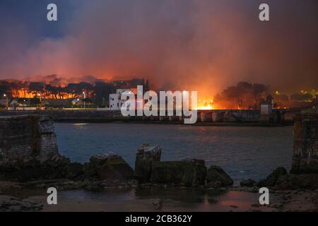 Waldstiftung Chiberta am 2020. Juli, 30. Die Brandstiftung verwüstete 165 Hektar Wald und verbrannte 11 Häuser im Herzen von Anglet. Lauffeuer. Blaze. Stockfoto