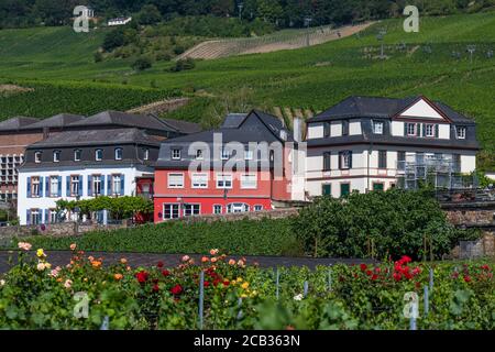 Rüdesheim am Rhein, Weinstadt in Hessen, Deutschland Stockfoto