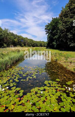 Duisburg, Ruhrgebiet, Nordrhein-Westfalen, Deutschland - Landschaftspark Duisburg-Nord, ein Landschaftspark von etwa 180 Hektar rund um ein stilles Eisen und Stockfoto