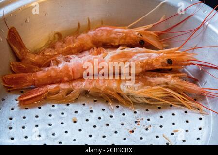 Schöne große Garnelen in einer Schüssel bereit zum Kochen. Schöne Farbe in der Vorbereitungsschale mit Wasserrückständen. Vorbereitung für ein schönes Seafood Serving Stockfoto