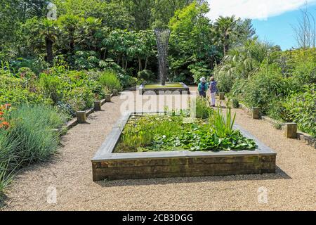 Ein erhöhter Teich mit Blei im Exotic Garden bei East Ruston Old Vicarage Garden, East Ruston, Norfolk, England, Großbritannien Stockfoto