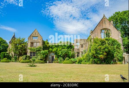 Die Ruinen von Nymans Haus mit Bäumen vor dem Haus an einem Sommertag. Haywards Heath, West Sussex, England. Stockfoto