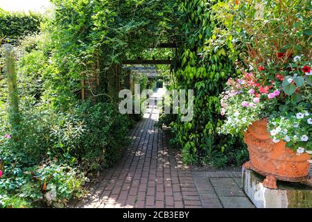 East Ruston Old Vicarage Garden, East Ruston, Norfolk, England, Großbritannien Stockfoto