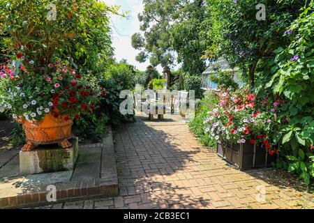 East Ruston Old Vicarage Garden, East Ruston, Norfolk, England, Großbritannien Stockfoto