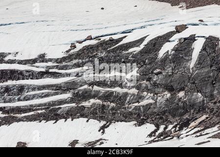 Ehrfurchtgebietender Nisqually Glacier, die dunkle Front des mit Staub verschmutzten Gletschers, im Juli im Mount Rainier National Park, Washington State, USA Stockfoto