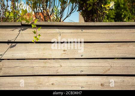 Zurückgewonnenen Holz Wand und Pflanzen. Natur Hintergrund Stockfoto