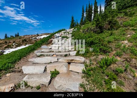 Steinstufen entlang des Skyline Trail im Juli im Mount Rainier National Park im Staat Washington, USA Stockfoto