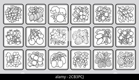 Kinder Dominosteine. Bilder mit Früchten Stock Vektor