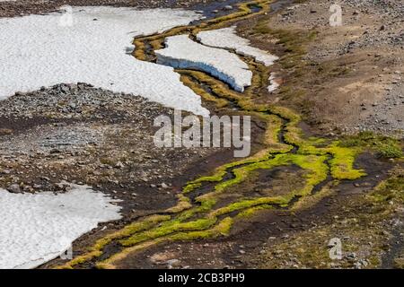 Schneefeld schmilzt und zeigt einen moosgesäumten Bach entlang des Skyline Trail im Juli, Mount Rainier National Park, Washington State, USA Stockfoto