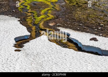 Schneefeld schmilzt und zeigt einen moosgesäumten Bach entlang des Skyline Trail im Juli, Mount Rainier National Park, Washington State, USA Stockfoto