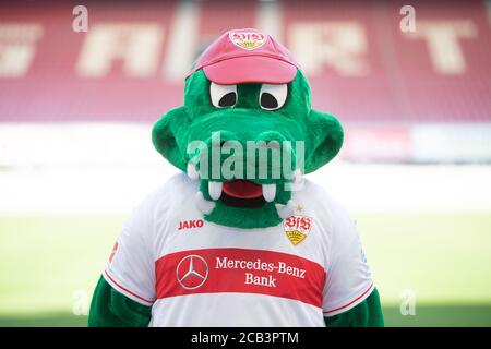 Stuttgart, Deutschland. August 2020. Fußball, Bundesliga: VfB Stuttgart - Fotosession, die offizielle Fotosession des Stuttgarter Teams (Teamfoto und Portraits) für die Saison 2020/2021 in der Mercedes-Benz Arena. Maskottchen Fritzle. Quelle: Marijan Murat/dpa - WICHTIGER HINWEIS: Gemäß den Bestimmungen der DFL Deutsche Fußball Liga und des DFB Deutscher Fußball-Bund ist es untersagt, im Stadion und/oder aus dem Spiel aufgenommene Aufnahmen in Form von Sequenzbildern und/oder videoähnlichen Fotoserien zu nutzen oder auszunutzen./dpa/Alamy Live News Stockfoto