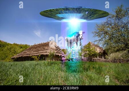 UFO stiehlt eine Kuh. UFO schwebt in einem Feld vor dem Hintergrund einer ländlichen Landschaft. 3D-Illustration Stockfoto