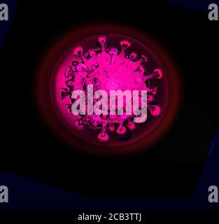 COVID PASSPORT, OMICRON VARIANT TRANSMISSION POST-PANDEMIE VACCINE BOOSTER Stockfoto