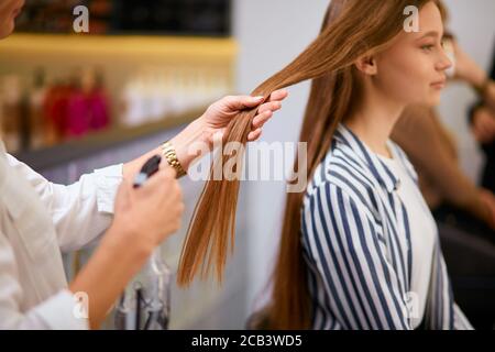 Sorgfältiger Friseur arbeitet mit dem Haar des Kunden, Kämmen und Schneiden lange Haare im Schönheitssalon. Schönheit, Modekonzept Stockfoto