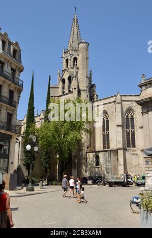 Gothische Kirche mit einem Glockenturm mit Spitz Turm und Zypressen auf einem Platz in Avignon, Vaucluse, Provence, Frankreich, 29. Juli 2020 Stockfoto
