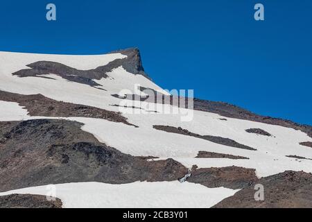 Bergsteiger, die auf dem Weg zum Camp Muir auf einem Schneefeld hoch über dem Panorama Point vom Skyline Trail, Mount Rainier National Park, Washington State, Stockfoto