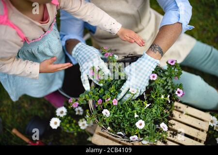 Draufsicht auf ältere Großmutter mit kleiner Enkelin Gartenarbeit im Sommer. Stockfoto