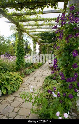 Die Edwardianische Pergola, entworfen von Harold Peto, West Dean Gardens, West Sussex, England, Großbritannien Stockfoto