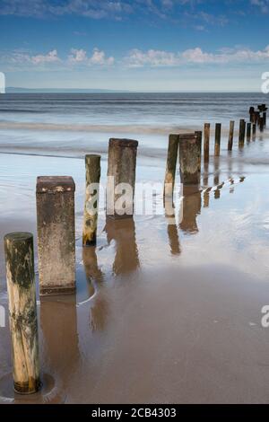 Groynes in the Sand & Sea bei Burnham on Sea, Somerset Stockfoto