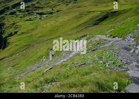 Weg vom ersten Gipfel (Grindelwald) hinunter ins Bergtal. (Jungfrau Region, Bern, Schweiz) Stockfoto