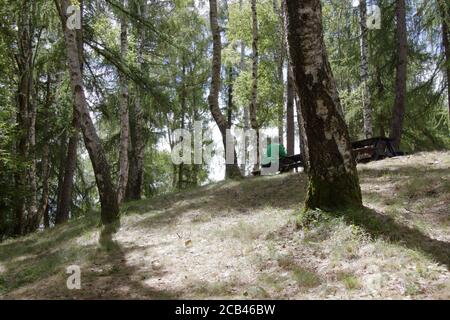 Ein Mann sitzt auf einer Holzbank in einem Picknick Bereich in der Mitte des Waldes Stockfoto