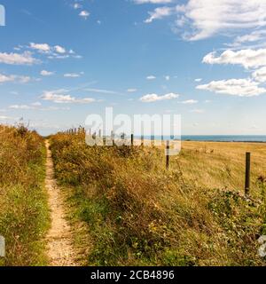 Spätsommer im South Downs National Park - Fußweg nach Südosten vom Cissbury Ring in Richtung Tenants Hill, West Sussex, Südengland, Großbritannien. Stockfoto