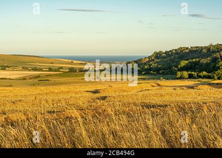 Blick über Ackerland und vorbei an Lychpole Hill an der Küste bei Lancing aus der Nähe des Monarch's Way im South Downs National Park, W Sussex, Großbritannien Stockfoto