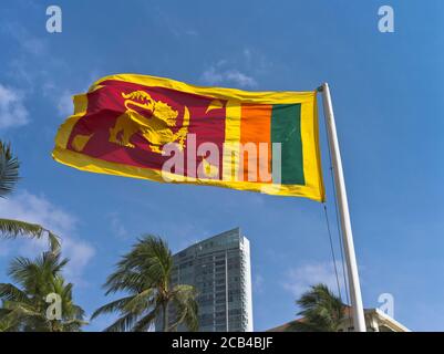 dh Sri Lanka Flagge COLOMBO STADT SRI LANKA nationaler Standard Flaggen Fahnenmast Stockfoto