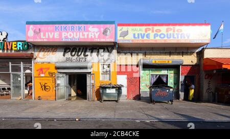Lebende Geflügelmärkte im Stadtteil Brooklyn Bushwick, New York. halal-Feuchtmärkte und Schlachthöfe. Stockfoto
