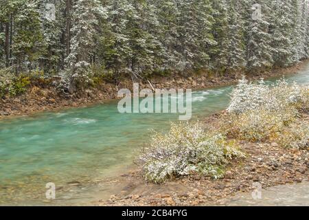 Bow River in der Nähe von Lake Louise Village mit Neuschnee, Banff National Park, Alberta, Kanada Stockfoto