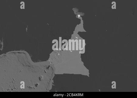 Form von Kamerun durch die Entsättigung der benachbarten Gebiete getrennt. Höhenkarte mit zwei Ebenen. 3D-Rendering Stockfoto