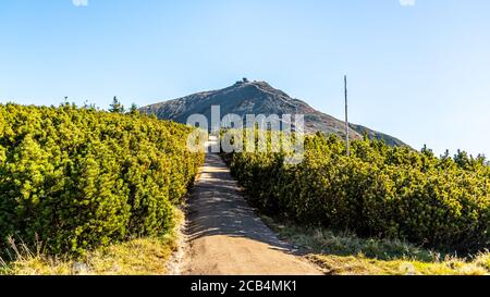 Auf dem Weg zum Berg Snezka. Riesenmounatine, Nationalpark Riesengebirge, Tschechische Republik. Stockfoto