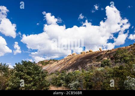 Matobo Hügel, dramatische natürliche Felsformationen, Felskunst, Matobo Nationalpark, Vororte von Bulawayo, Matabeleland Süd, Simbabwe, Afrika Stockfoto