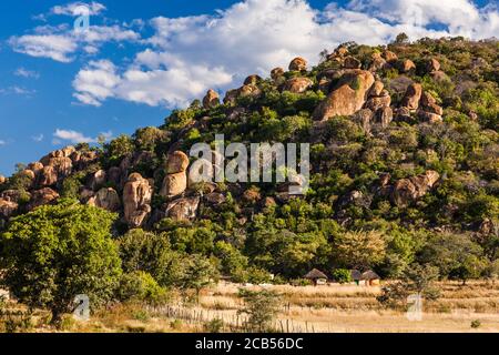 Matobo Hügel, natürliche Felsformationen und lokalen Dorf und Bauernhof, Matobo Nationalpark, Vororte von Bulawayo, Matabeleland Süd, Simbabwe, Afrika Stockfoto