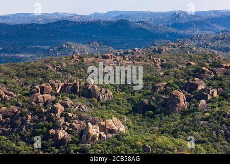 Matobo Hügel, dramatische natürliche Felsformationen, von der Spitze des Pomongwe, Matobo Nationalpark, Bulawayo, Matabeleland Süd, Simbabwe, Afrika Stockfoto