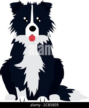 Border Collie Hund Symbol über weißem Hintergrund, flachen Stil, Vektor-Illustration Stock Vektor