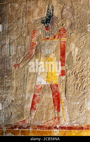 Ein eingraviertes Relief, das Anubis, den hundegott der Toten, im Totentempel der Hatschepsut in Deir al-Bahri in Luxor in Ägypten darstellt. Stockfoto