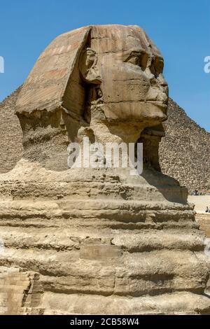Ein Blick auf den kolossalen Kopf der Großen Sphinx auf dem Gizeh Plateau in Kairo in Ägypten. Stockfoto
