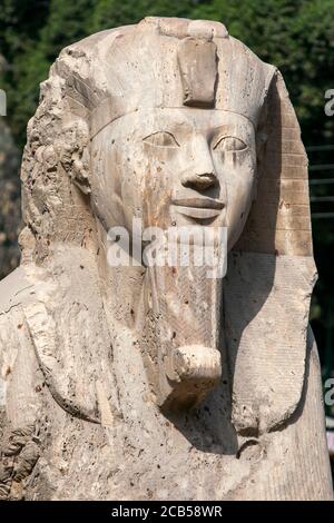 Der Kopf der Alabaster Sphinx von Amun-Ofis 2. In der altägyptischen Hauptstadt Memphis im Norden Ägyptens (modern mit Rahina). Stockfoto