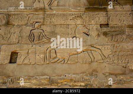 Hieroglyphen und Reliefs einschließlich eines Pferdes und eines Streitwagens, die in eine Steinmauer am Karnak Tempel (Tempel des Amun) in Luxor in Ägypten geschnitzt wurden. Stockfoto