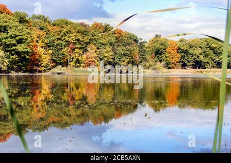 Herbstaussicht auf Rouge Pond. Stockfoto