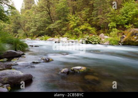 Fließender Fluss mit Stromschnellen, großen Felsen und grüner Vegetation am Flussufer Stockfoto