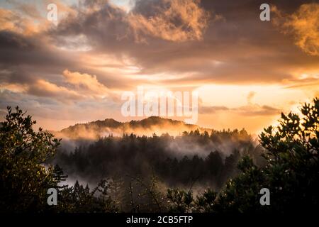 Das goldene Licht des Sonnenuntergangs über den Misty Mountains in Redwoods State Park Stockfoto